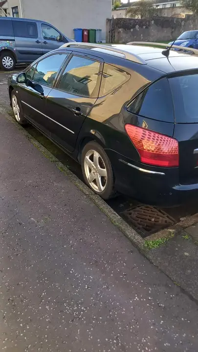Peugeot 407 2009 photo 4