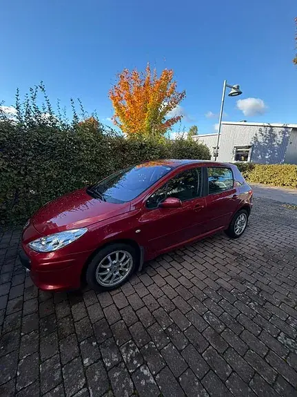 Peugeot 307 2008 photo 2