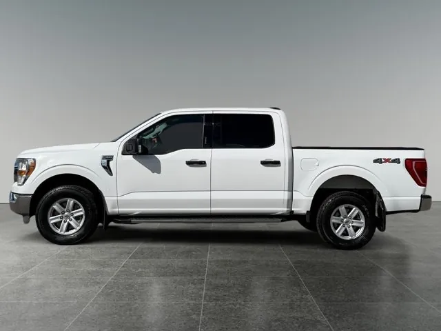 Ford F-150 2021 photo 2