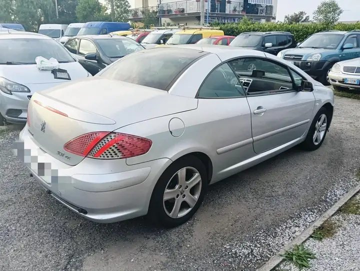 Peugeot 307 2005 photo 4