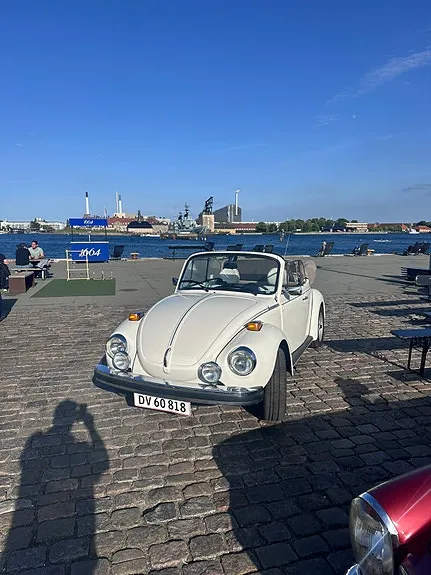 Volkswagen 1303
