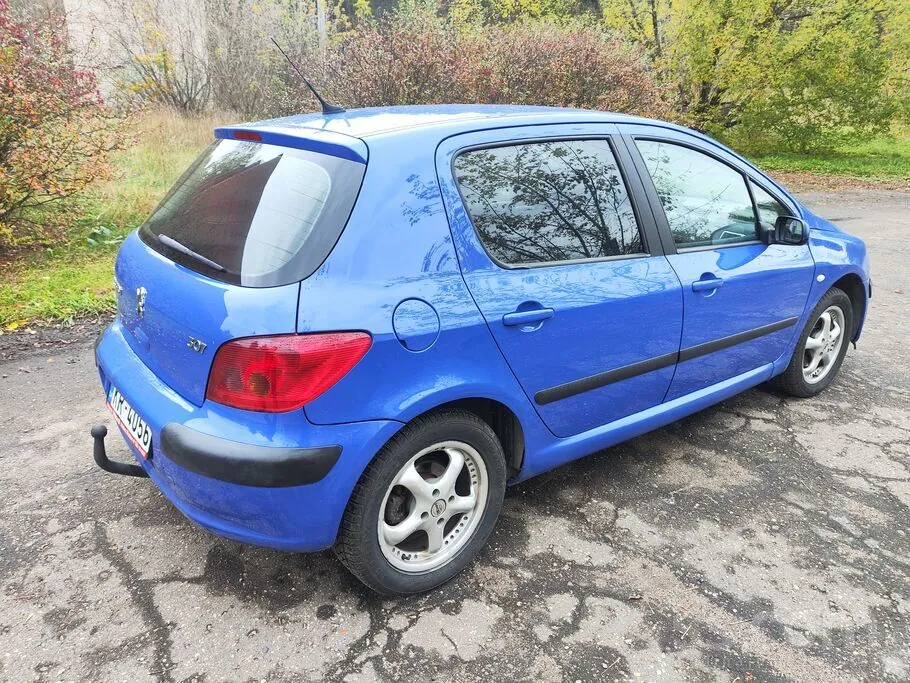 Peugeot 307 2003 photo 3