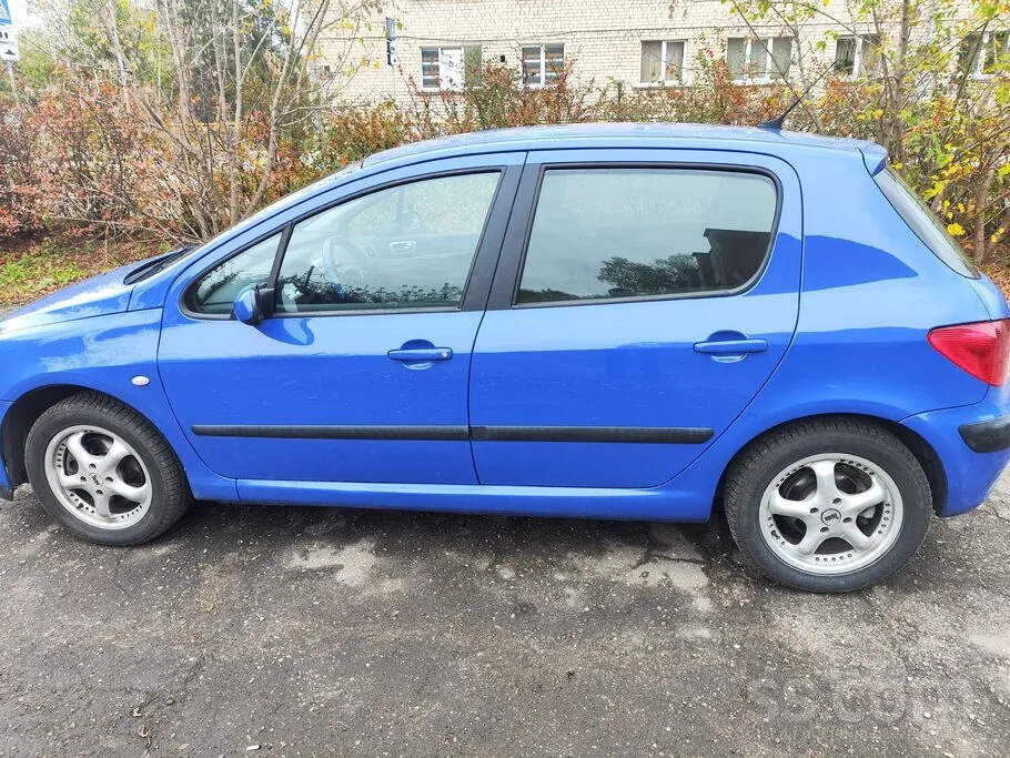 Peugeot 307 2003 photo 4