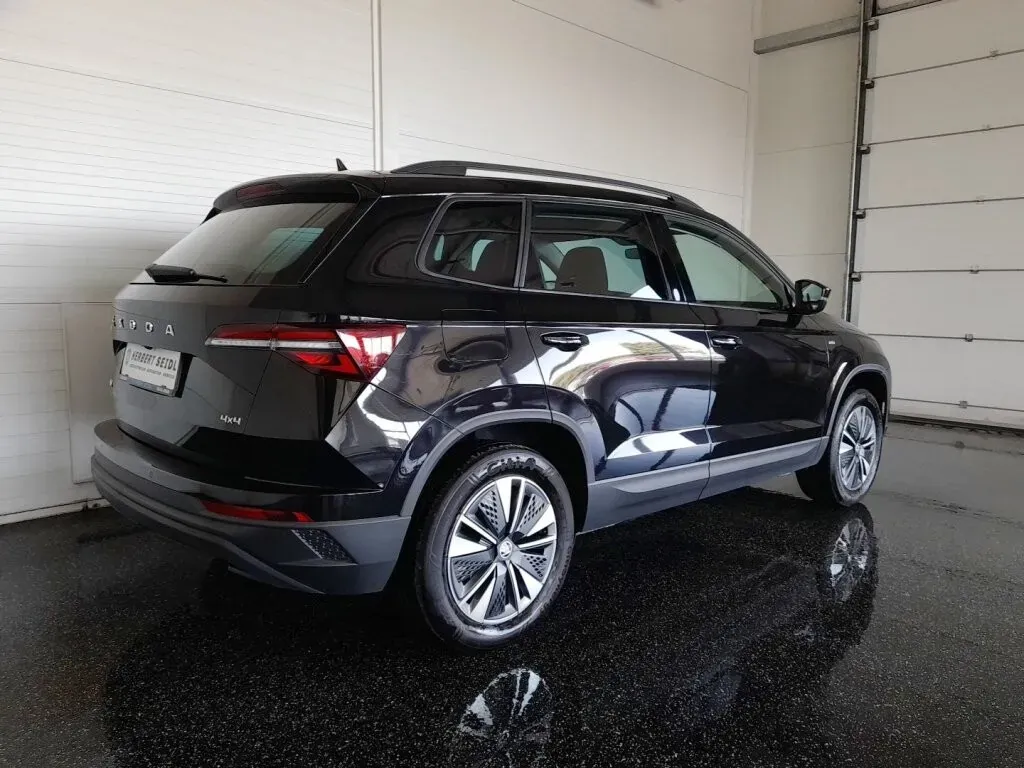 Skoda Karoq 2022 photo 2