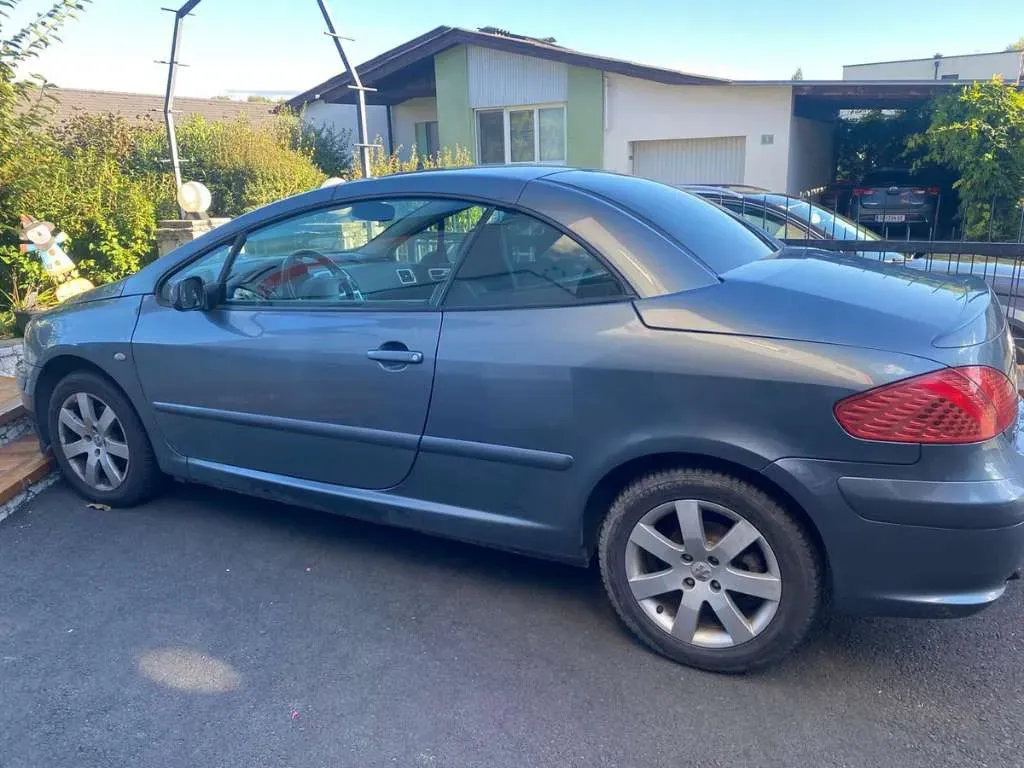 Peugeot 307 Cc 2004 photo 2