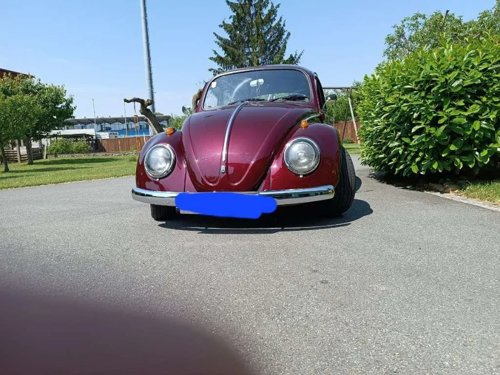 Volkswagen Käfer