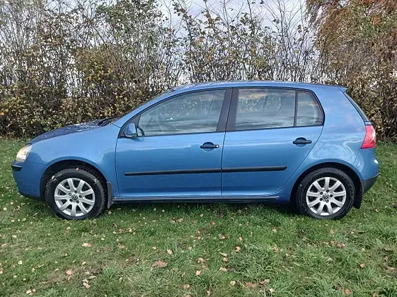 Volkswagen Golf I 2004 photo 3
