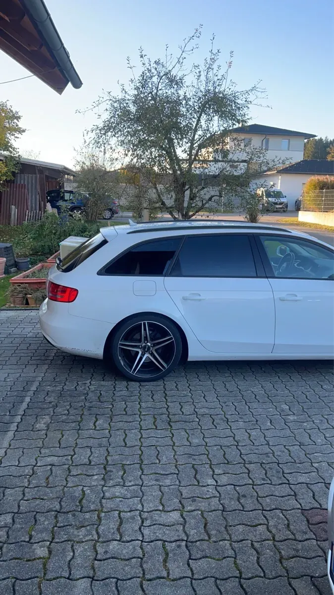 Audi A4 2013 photo 2