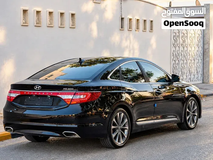 Hyundai Azera 2014 photo 2