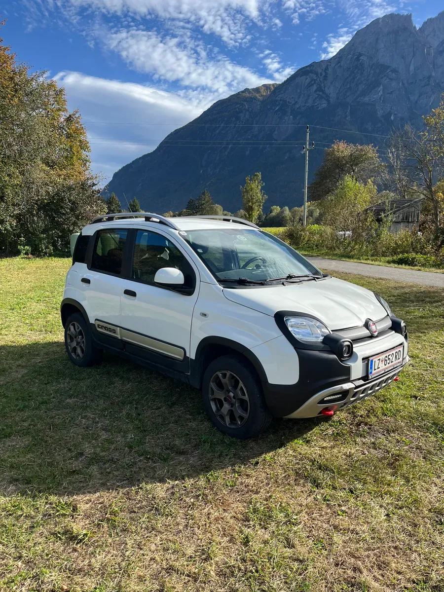 Fiat Panda 2019 photo 2