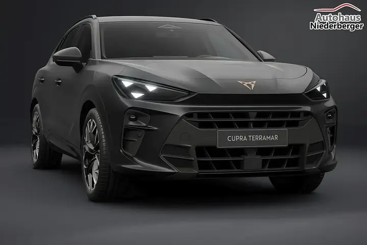 Cupra Terramar photo 2