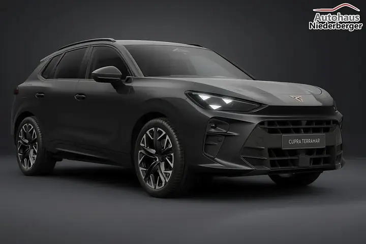 Cupra Terramar photo 3