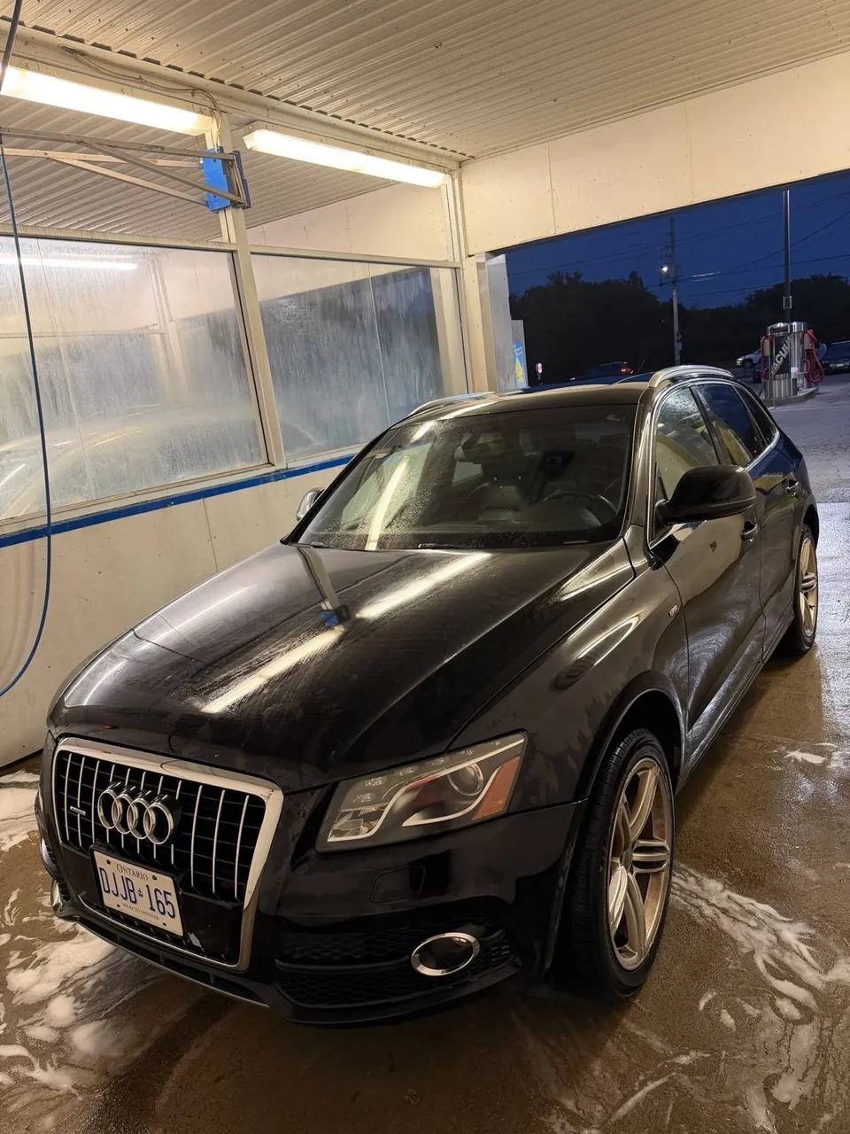 Audi Q5 2010 photo 3