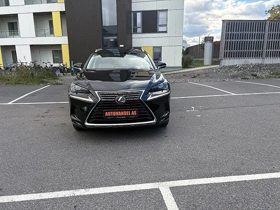 Lexus Nx300H 2018 photo 4
