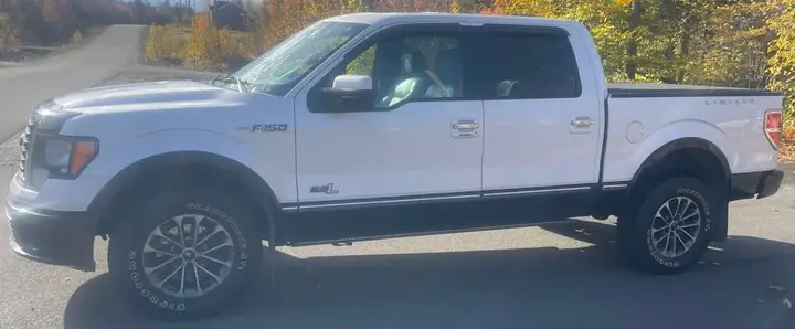 Ford F-150 2021 photo 3