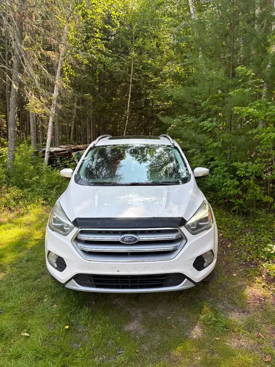 Ford Escape 2017 photo 4