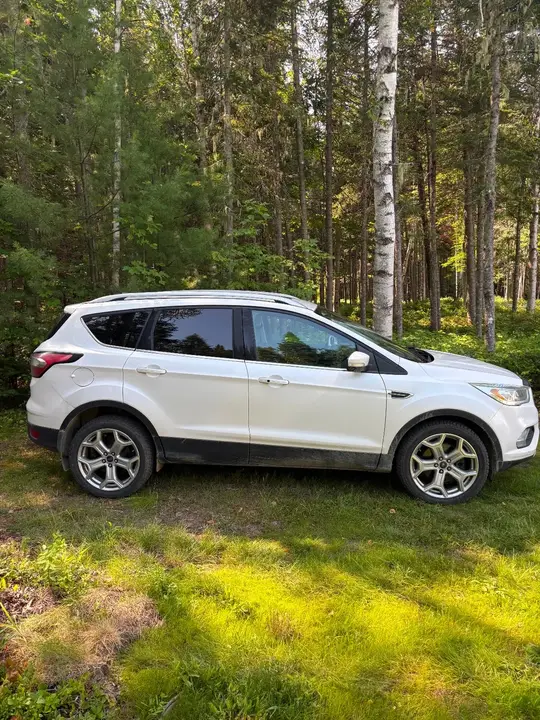 Ford Escape 2017 photo 3