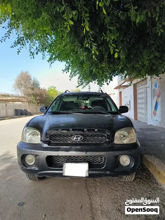 Hyundai Santa Fe 2004 photo 2
