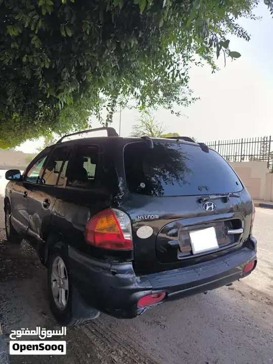 Hyundai Santa Fe 2004 photo 3