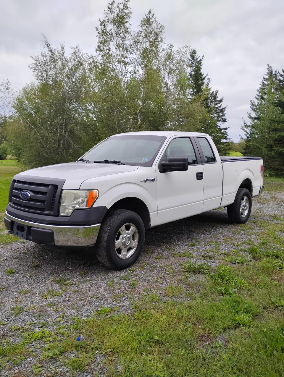 Ford F-150 2010 photo 4