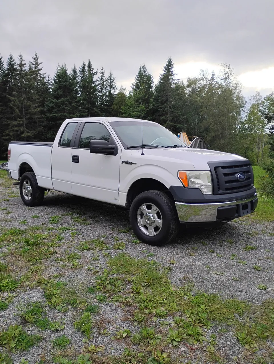 Ford F-150 2010 photo 3