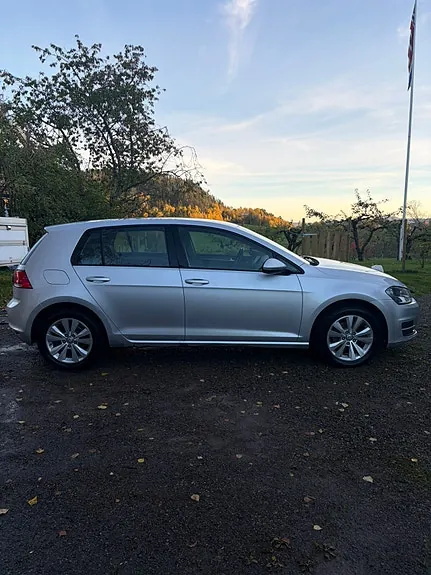 Volkswagen Golf Vii 2015 photo 4