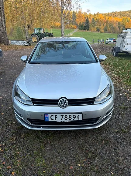 Volkswagen Golf Vii 2015 photo 5