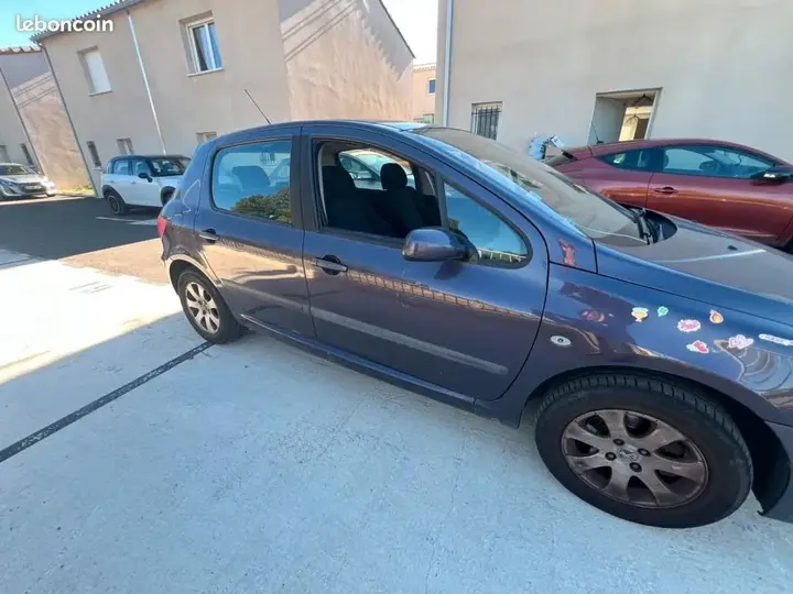 Peugeot 307 2002 photo 2