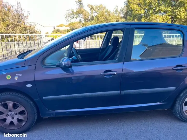 Peugeot 307 2002 photo 3