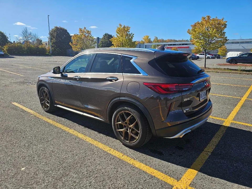 Infiniti Qx50 2019 photo 3