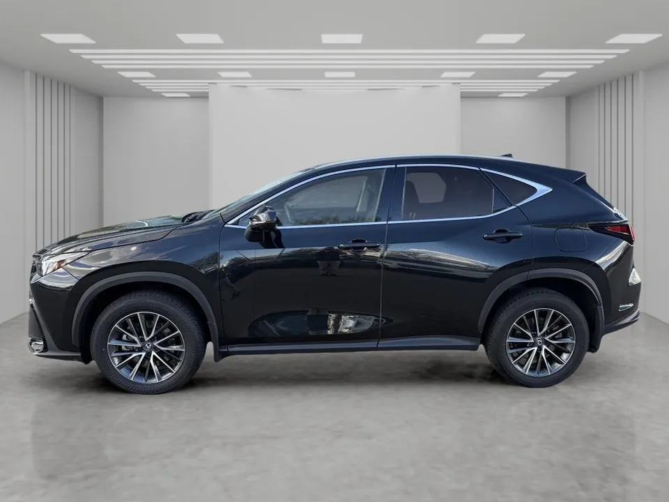 Lexus Nx 350 2025 photo 2
