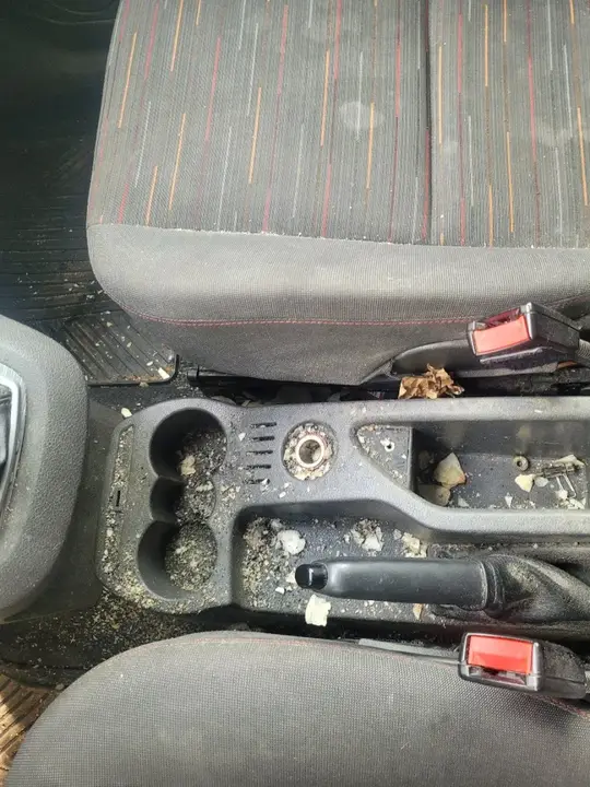 Ford B-Max 2009 photo 3