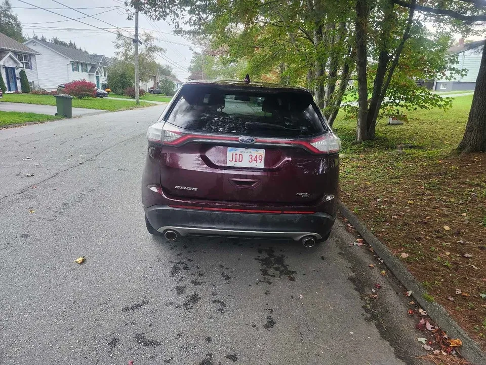Ford Edge 2019 photo 3