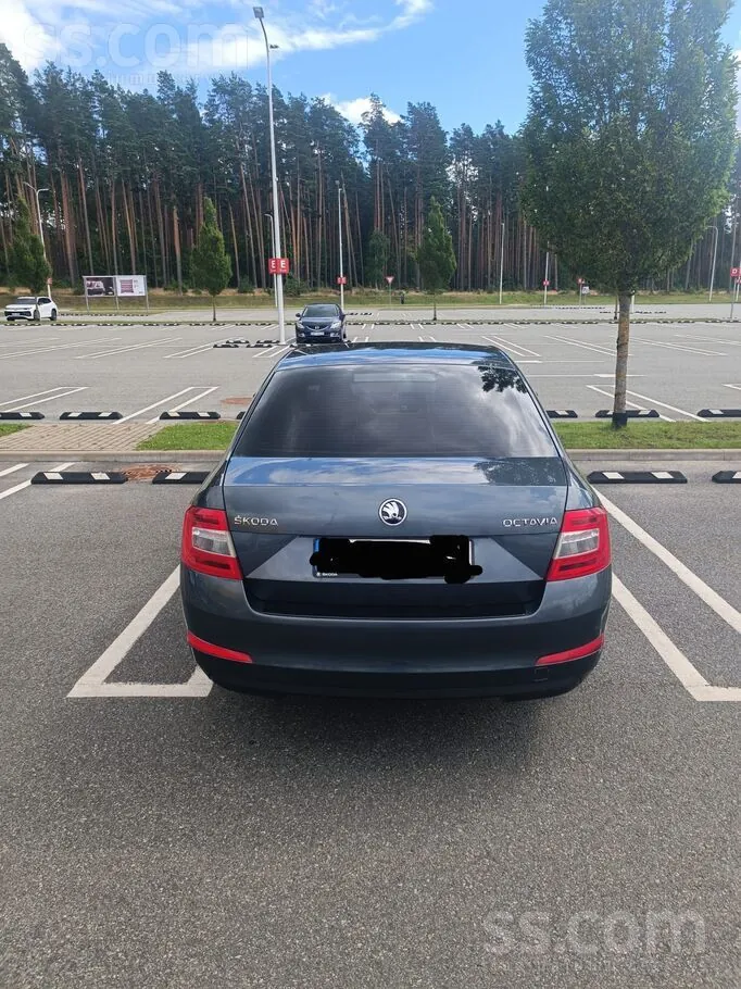 Skoda Octavia 2015 photo 5