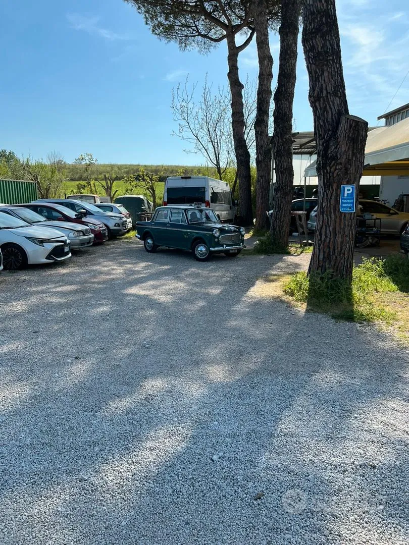 Fiat 1100 1960 photo 4