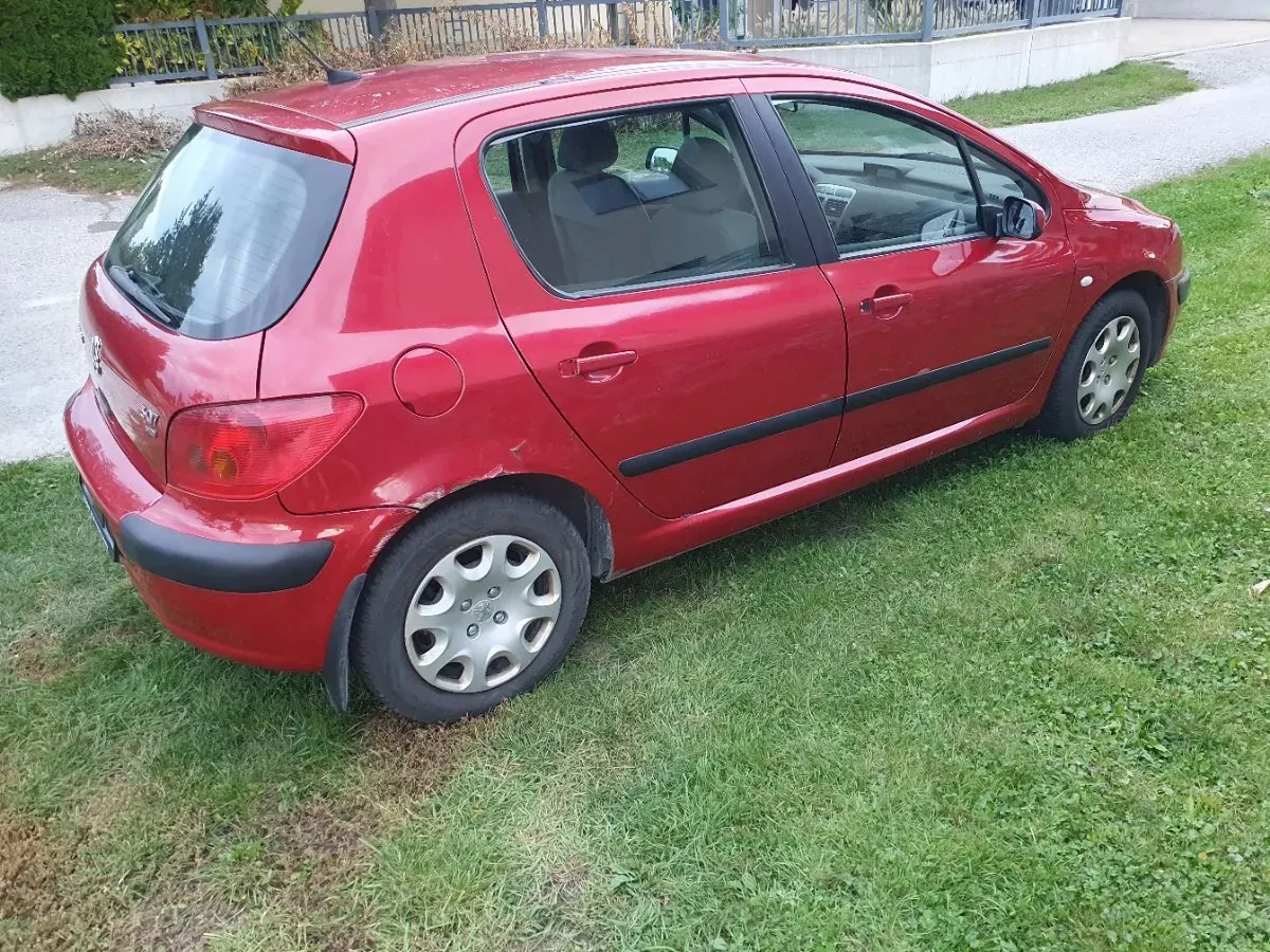 Peugeot 307 2003 photo 3