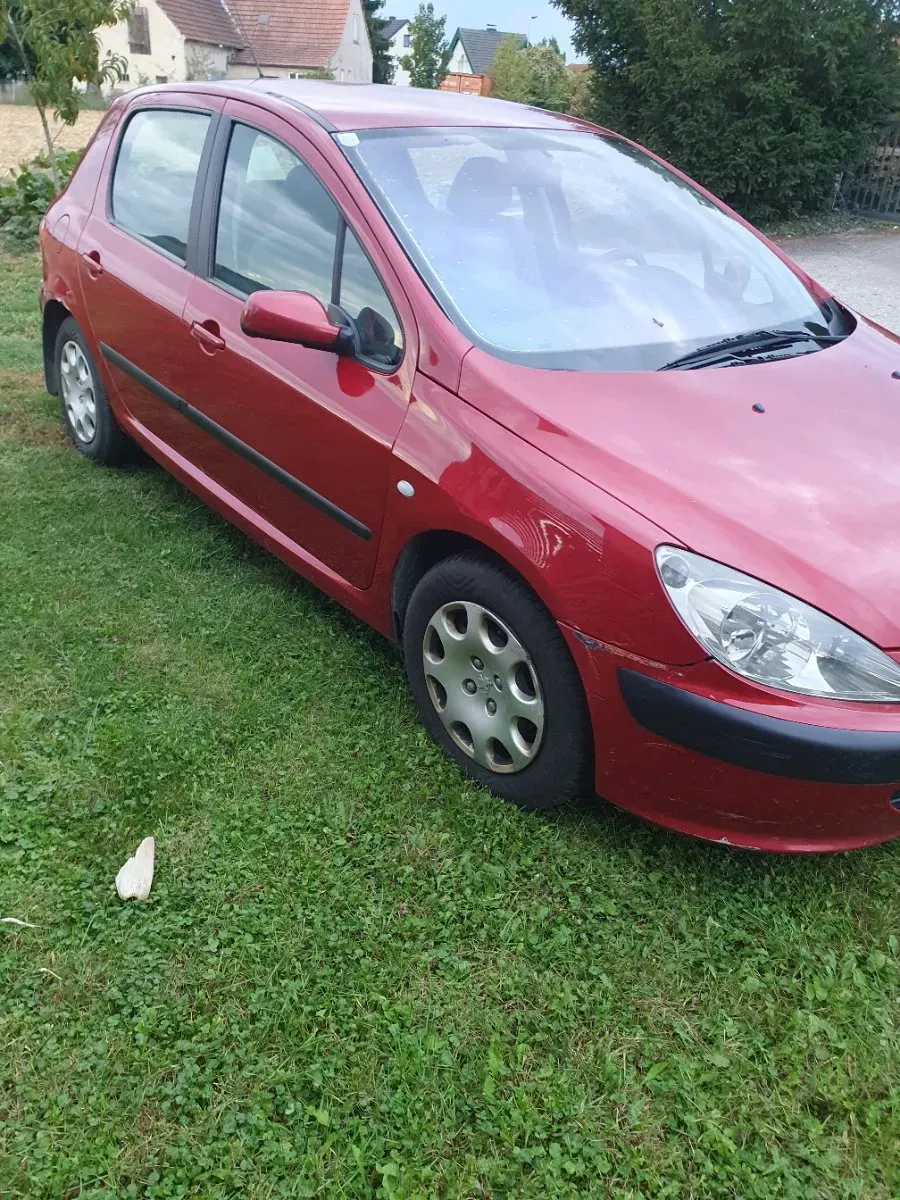 Peugeot 307 2003 photo 2