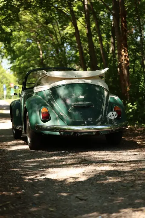 Volkswagen Beetle 1967 photo 3