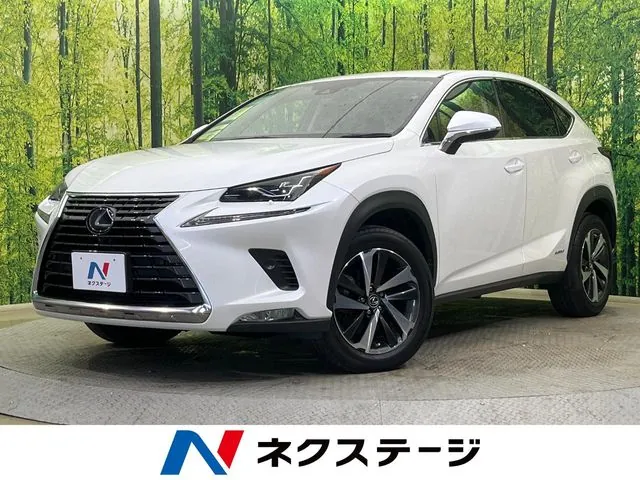 Lexus Nx 300H