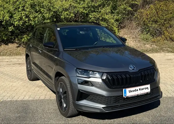 Skoda Karoq 2023 photo 3