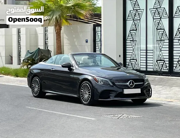 Mercedes-Benz C-Class 2019 photo 2