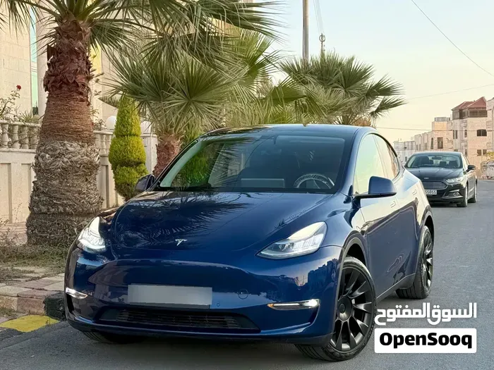 Tesla Model Y 2022 photo 2