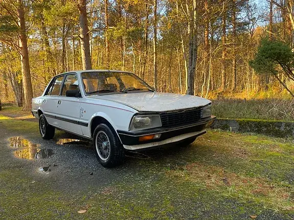 Peugeot 505
