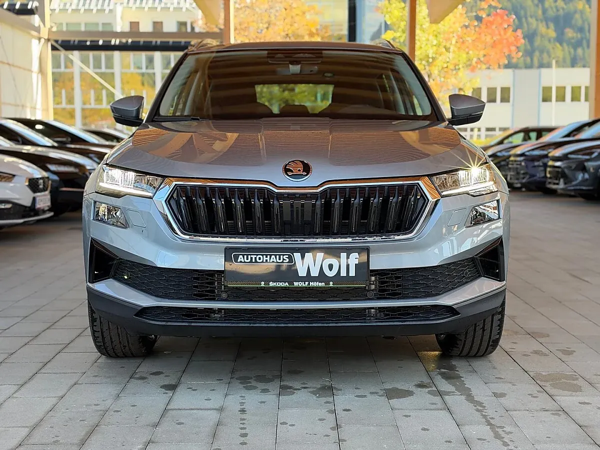 Skoda Karoq 2026 photo 2