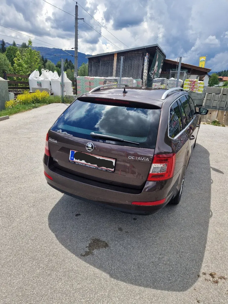 Skoda Octavia 2015 photo 3