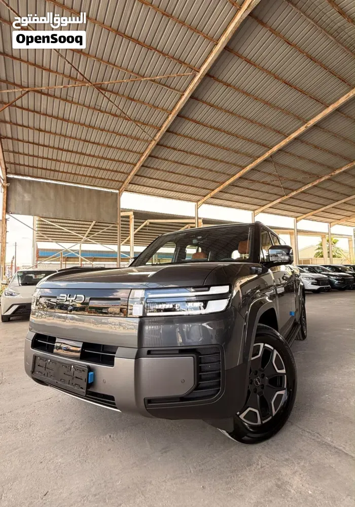 BYD Leopard 7
