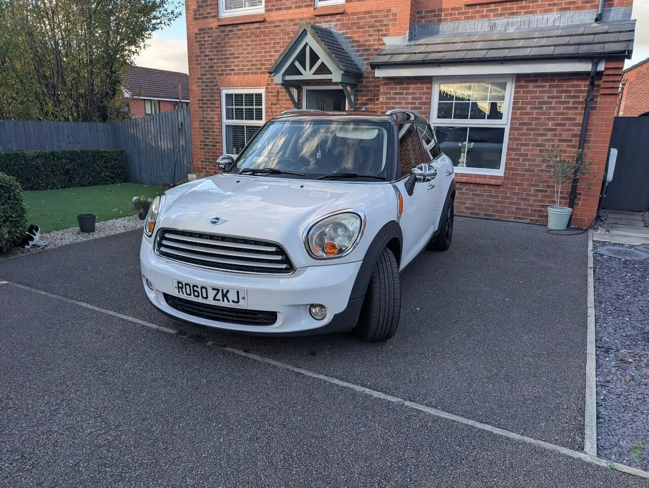 Mini Countryman 2010 photo 2