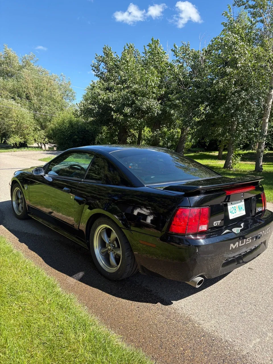 Ford Mustang 2004 photo 3