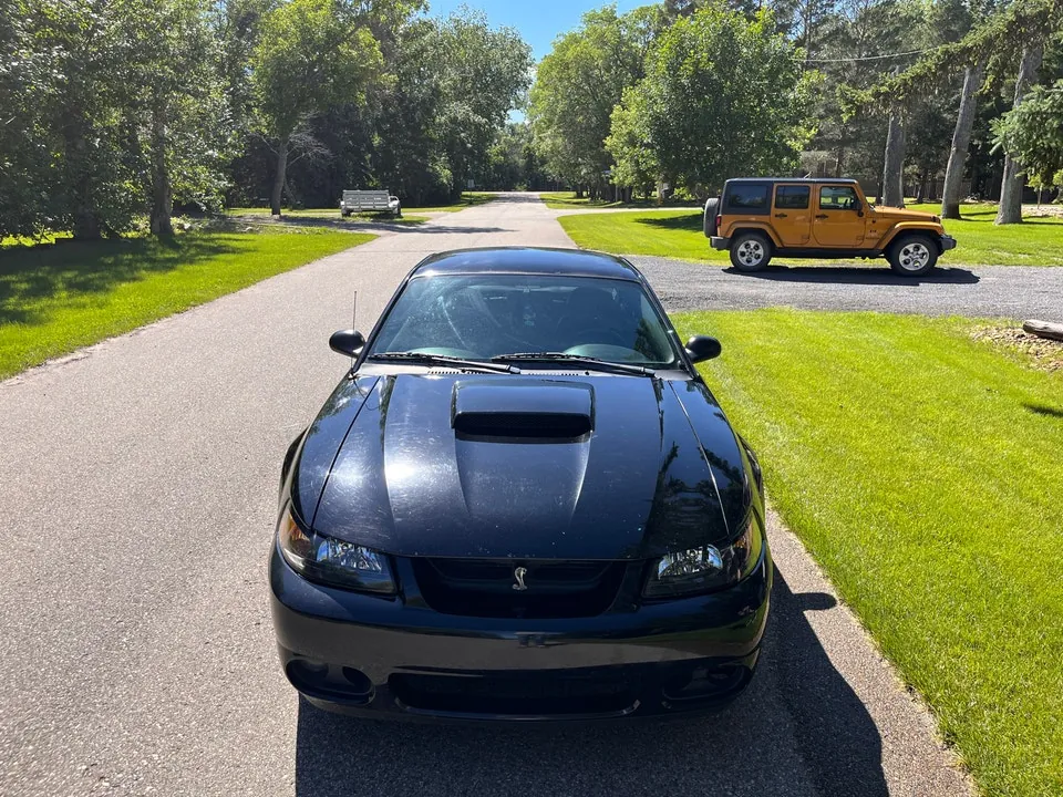 Ford Mustang 2004 photo 2