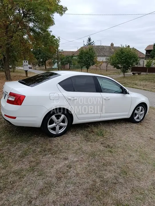 Skoda Octavia 2014 photo 2